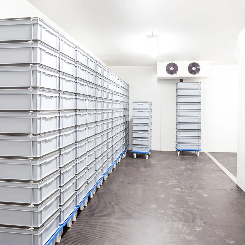 Cold Storage Rooms